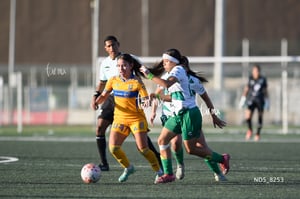 Santos Laguna vs Tigres UANL S19