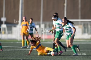Santos Laguna vs Tigres UANL S19