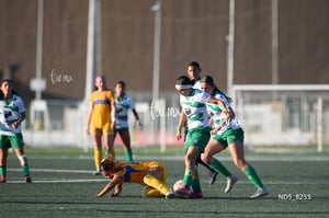 Santos Laguna vs Tigres UANL S19