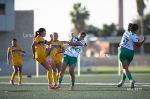 Santos Laguna vs Tigres UANL S19