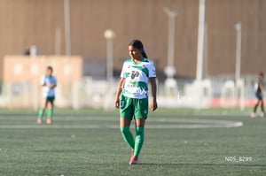 Santos Laguna vs Tigres UANL S19