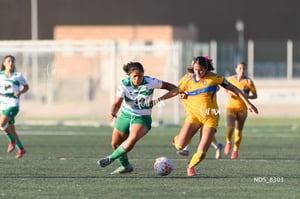 Santos Laguna vs Tigres UANL S19