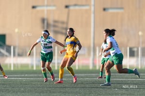 Santos Laguna vs Tigres UANL S19