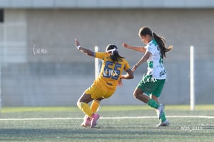 Santos Laguna vs Tigres UANL S19