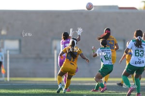 Santos Laguna vs Tigres UANL S19