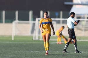Santos Laguna vs Tigres UANL S19