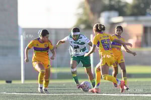 Santos Laguna vs Tigres UANL S19