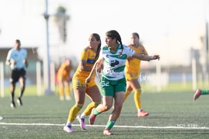 Santos Laguna vs Tigres UANL S19