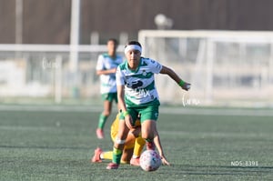 Santos Laguna vs Tigres UANL S19