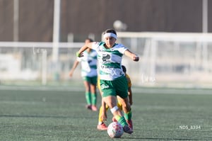Santos Laguna vs Tigres UANL S19