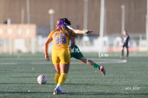 Santos Laguna vs Tigres UANL S19