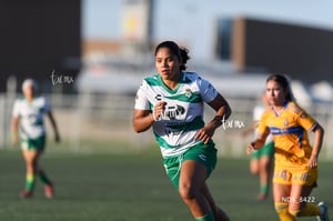 Santos Laguna vs Tigres UANL S19