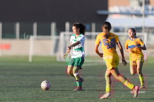 Santos Laguna vs Tigres UANL S19