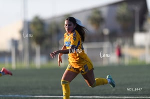 Santos Laguna vs Tigres UANL S19