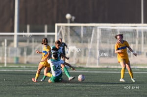 Santos Laguna vs Tigres UANL S19
