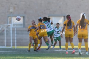 Santos Laguna vs Tigres UANL S19