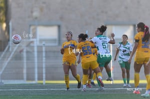 Santos Laguna vs Tigres UANL S19