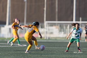 Santos Laguna vs Tigres UANL S19