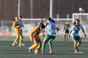 Santos Laguna vs Tigres UANL S19