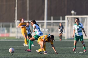 Santos Laguna vs Tigres UANL S19