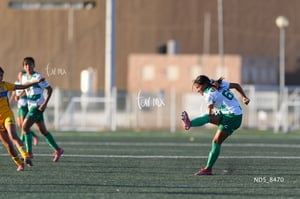 Santos Laguna vs Tigres UANL S19
