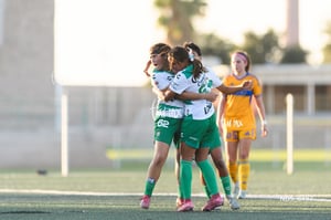 Santos Laguna vs Tigres UANL S19