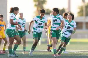 Santos Laguna vs Tigres UANL S19