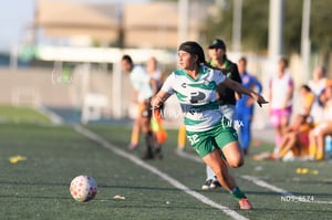 Santos Laguna vs Tigres UANL S19