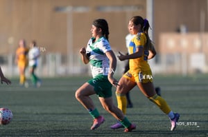 Santos Laguna vs Tigres UANL S19