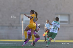 Santos Laguna vs Tigres UANL S19