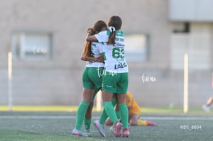 Santos Laguna vs Tigres UANL S19