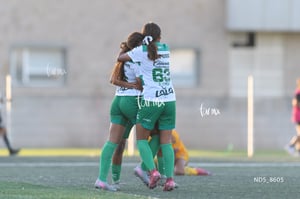 Santos Laguna vs Tigres UANL S19