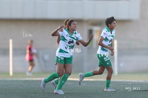 Santos Laguna vs Tigres UANL S19