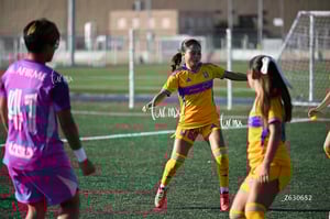 Santos Laguna vs Tigres UANL S19