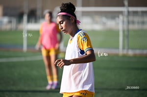 Santos Laguna vs Tigres UANL S19