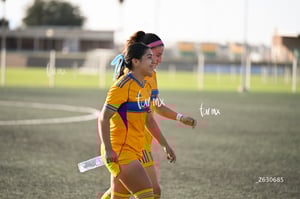 Santos Laguna vs Tigres UANL S19