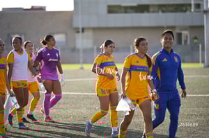 Santos Laguna vs Tigres UANL S19