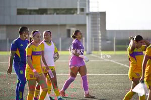 Santos Laguna vs Tigres UANL S19