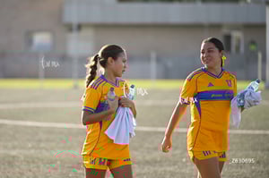 Santos Laguna vs Tigres UANL S19