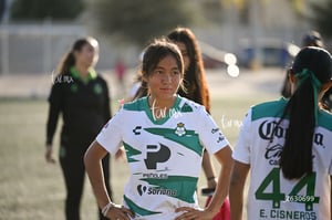 Santos Laguna vs Tigres UANL S19