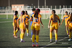 Santos Laguna vs Tigres UANL S19