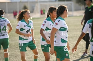 Santos Laguna vs Tigres UANL S19
