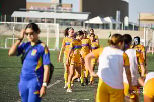 Santos Laguna vs Tigres UANL S19
