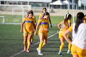 Santos Laguna vs Tigres UANL S19