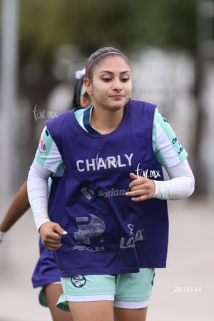 Santos Laguna vs Tijuana femenil sub 19