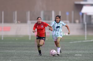 Santos Laguna vs Tijuana femenil sub 19