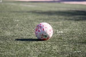 Santos vs Atlas femenil sub19