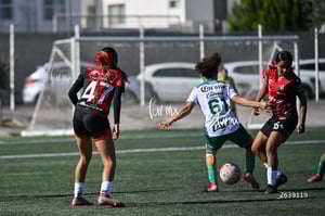 Santos vs Atlas femenil sub19