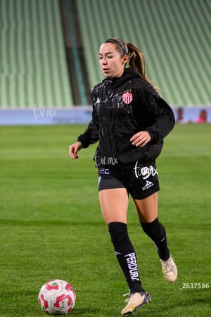 Santos vs Necaxa femenil