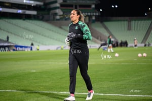 Santos vs Necaxa femenil